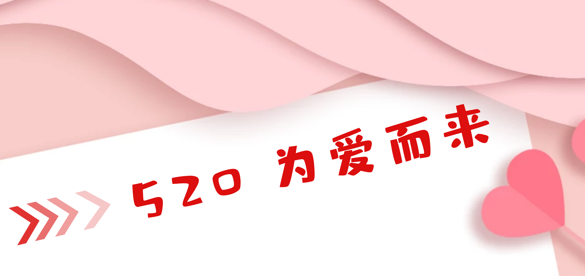 520，没有什么比它的告白更纯粹